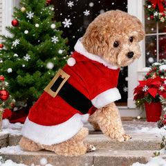 baotongle Santa Dog Costume fluffy collar close-up adds festive softness.