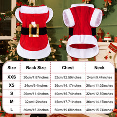 baotongle Santa Dog Costume on dog demonstrates warm winter wear for small breeds.