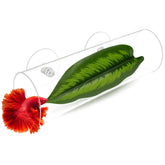 BaoZqua acrylic betta hammock tunnel creates a private resting retreat inside your tank.
