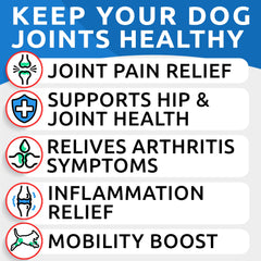 BARK&SPARK Liquid Glucosamine dog pour demonstrates easy mixing into meals.