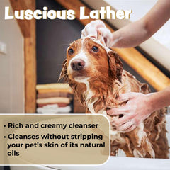 Bark & Clean oatmeal texture emphasizes soothing oats for dry, irritated skin.