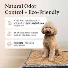 Bark Potty odor-neutralization demonstrates odor control for indoor spaces.