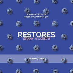 Bark2Basics Blueberry Greek Yogurt Shampoo ingredients natural reveals plant-derived cleansing components.