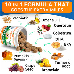 BARK&SPARK colostrum-immune-support chews image conveys daily resilience against allergens