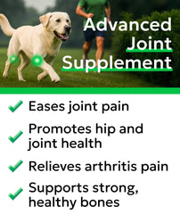 BARK&SPARK dog joint chews close-up shows tasty texture for daily joint support