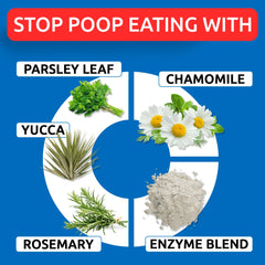 BARK&SPARK No Poo Chews digestive enzymes image emphasizes nutrient absorption aid.