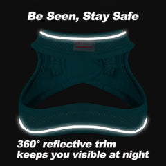 BARKBAY 360 reflective trim harness increases visibility for safer walks