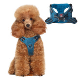 BARKBAY dog harness with reflective back panel for nighttime visibility during walks