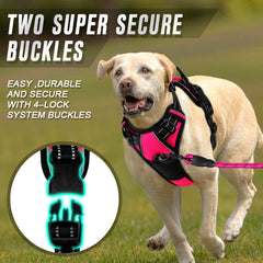 BARKBAY back leash attachment point provides versatile control options.