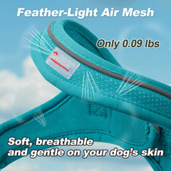 BARKBAY no-choke front panel harness emphasizes natural movement and neck relief