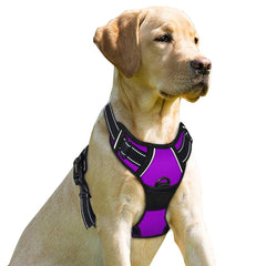 BARKBAY No Pull Harness front clip enables easy on/off for smoother daily walks
