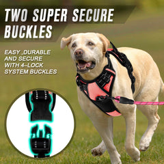 BARKBAY No Pull Harness anti-chafe padding enhances comfort on longer outings.