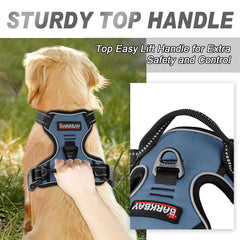 BARKBAY harness chest attachment demonstrates improved steering for confident walks.