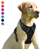 BARKBAY No Pull Harness front clip in black for controlled walks.