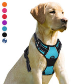BARKBAY No-Pull Harness front clip blue for controlled walks.