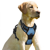 BARKBAY No Pull front clip harness in navy provides easy control during walks.
