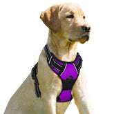 BARKBAY no-pull front clip harness in purple for safer, controlled walking.