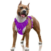 BARKBAY No Pull Harness front clip purple improves training.