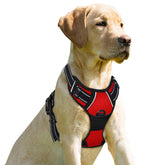 BARKBAY No Pull Harness front clip red improves on leash control during walks