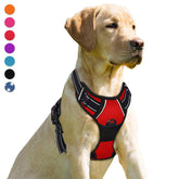BARKBAY No Pull Harness front clip red for improved walking control.