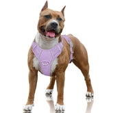 BARKBAY No Pull Harness front clip enables easier control during walks