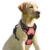 BARKBAY No Pull Harness front clip for improved control during daily walks.