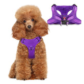 BARKBAY step-in harness front view, easy on-off for active small dogs.