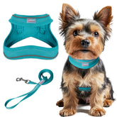 BARKBAY step-in harness Ocean Blue shows quick, fuss-free walks