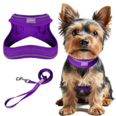 BARKBAY step-in harness purple front view highlights no-choke design for comfortable walks.