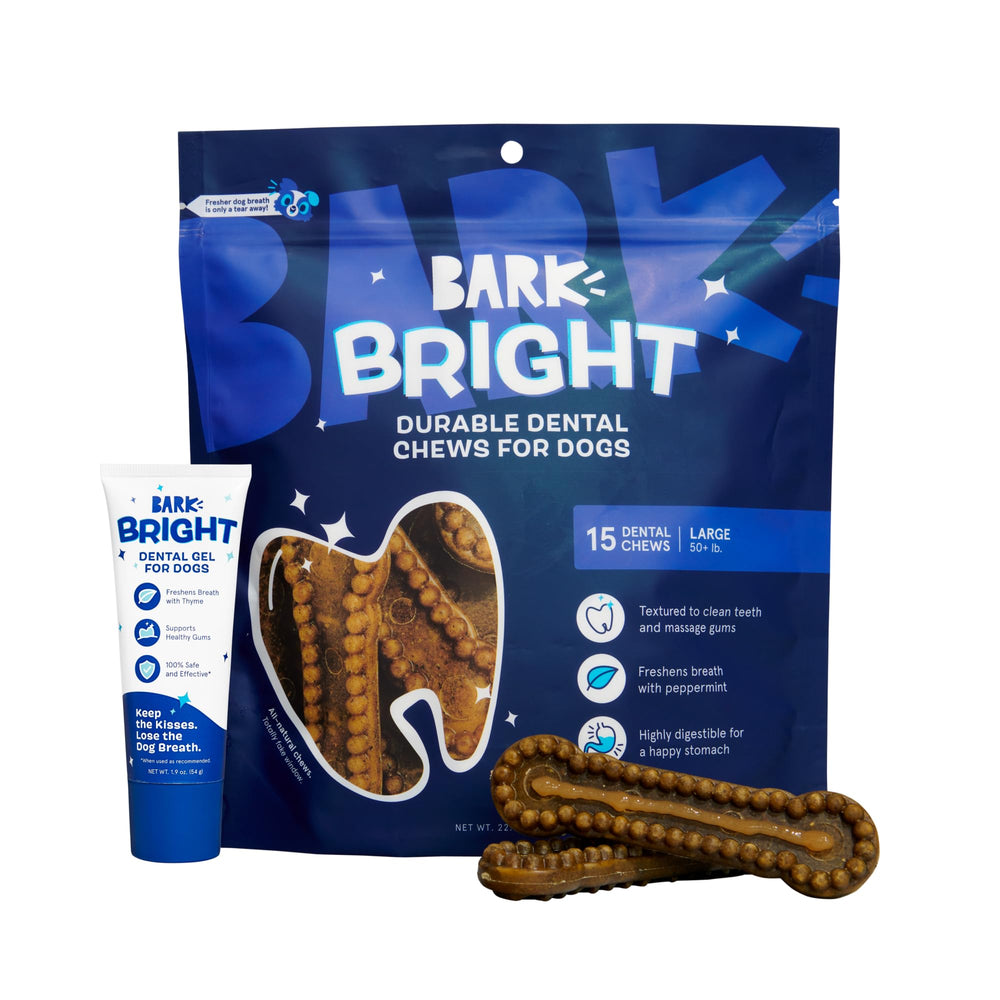 BarkBox Bright dental kit packaging showing 15 sticks and toothpaste for large breeds