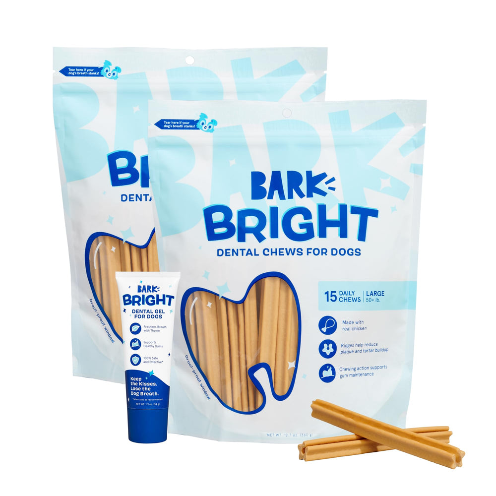 BarkBox Bright Original dental kit packaging for large dogs, ready for daily oral care during chew time.