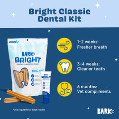 BarkBox Bright toothpaste close-up highlights gel for thorough cleaning