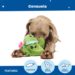 BarkBox Consuela the Cactus squeaker inside rewards dogs with a satisfying sound cue
