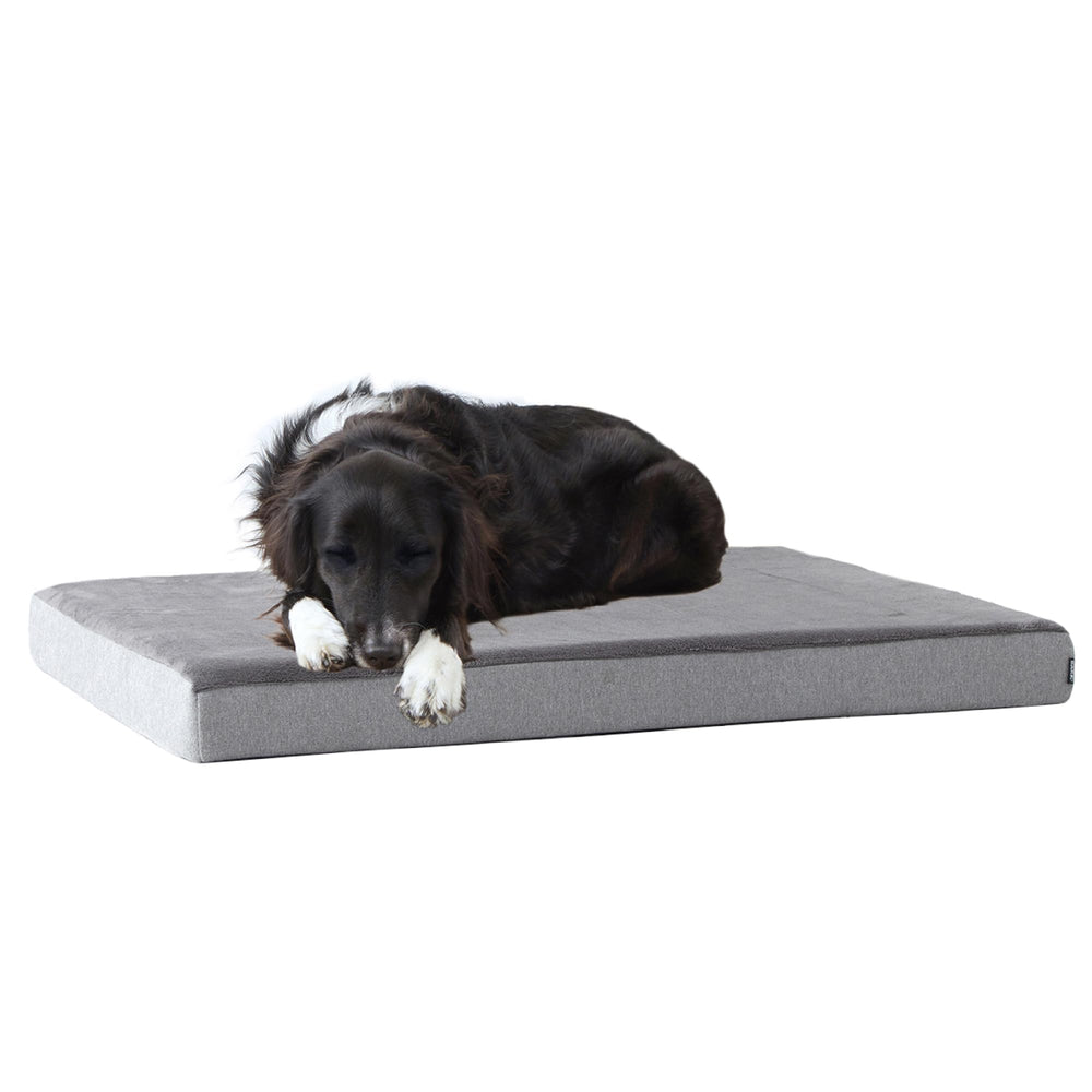 Barkbox orthopedic bed memory-foam-core delivers joint-supporting comfort for dogs at rest.