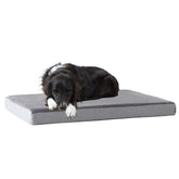 Barkbox orthopedic bed memory-foam-core delivers joint-supporting comfort for dogs at rest.