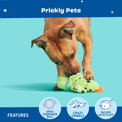 BarkBox Prickly Pete spiky ball squeaker supports active fetch play