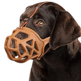 BARKLESS basket-muzzle-on-dog demonstrating breathable, safe walks.