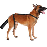 BARKLESS dog tail protector package view shields wounds during rest and recovery