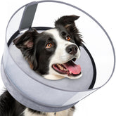BARKLESS donut collar side view shows inflatable protective design aiding post-surgery recovery and comfort