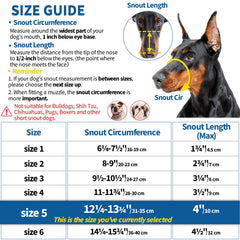 BARKLESS muzzle desensitizing training setup with treats to ease acceptance