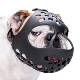 BARKLESS short-snout muzzle on a flat-faced dog for gentle wear.