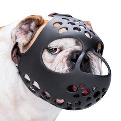 BARKLESS short-snout muzzle on a flat-faced dog for gentle wear.