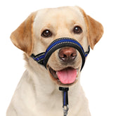 BARKLESS soft head-collar blue side view for gentle control during walks