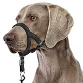 BARKLESS sturdy no-pull head collar front view for calmer walks and gentle guidance.