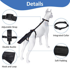 BARKLESS tail guard on dog tail demonstrates secure fit during movement