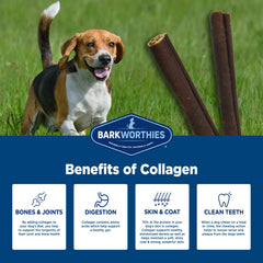 Barkworthies Collagen Sticks beef flavor pack shot showcases savory taste dogs enjoy