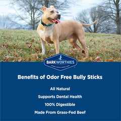 Barkworthies Odor-Free Bully Sticks from free-range cattle highlighted for quality ingredients.
