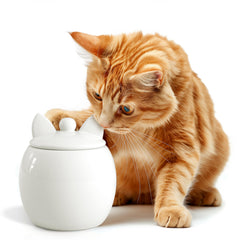 Barnyard Designs Cat Treat Container with treats inside demonstrates dry snack storage