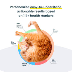Basepaws cat DNA test kit register online indicates secure setup for fast results