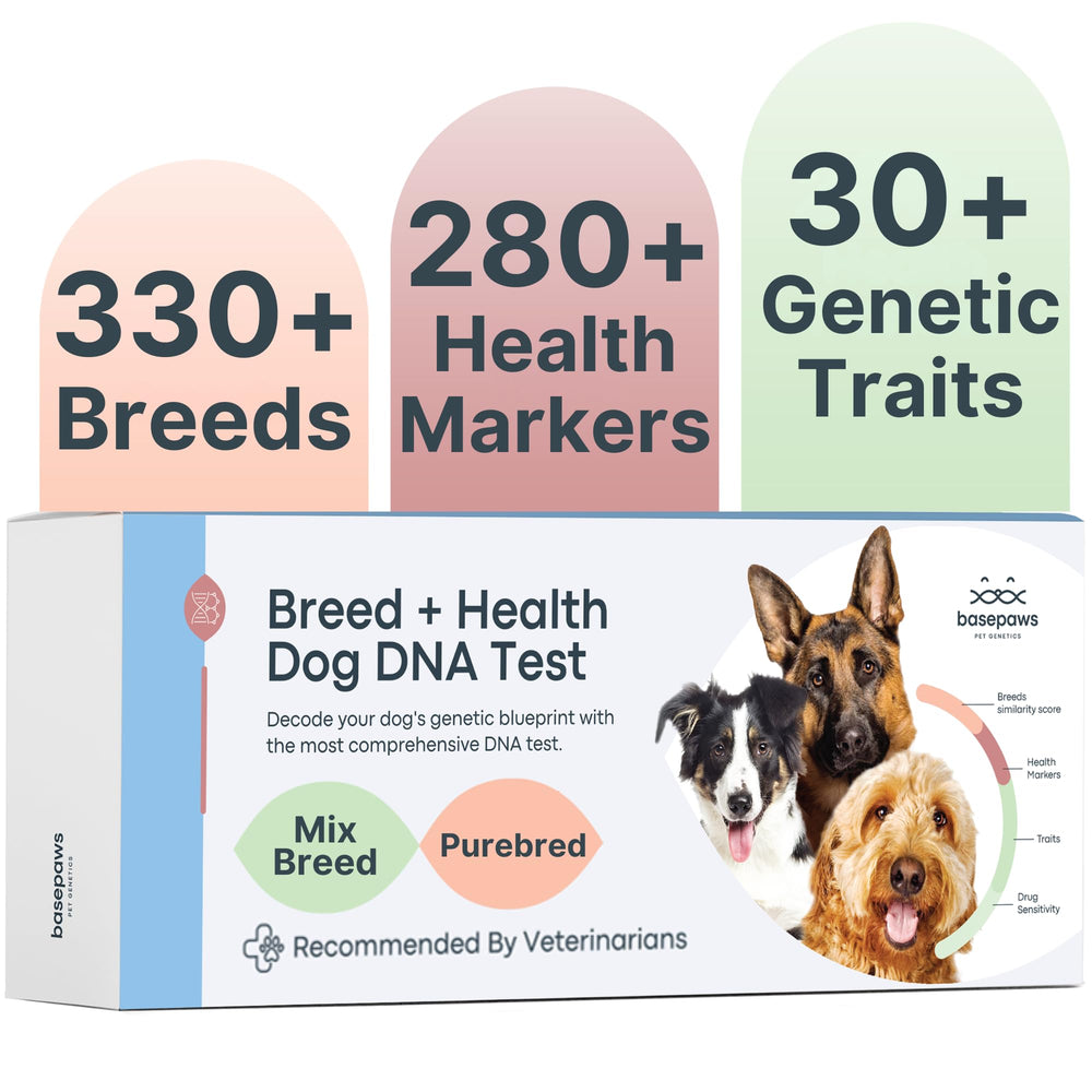 Basepaws dog DNA kit packaging with breed insights and health relevance